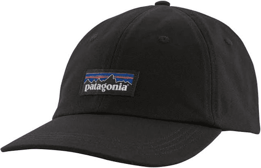 CAP PATAGONIA P-6 LABEL TRAD